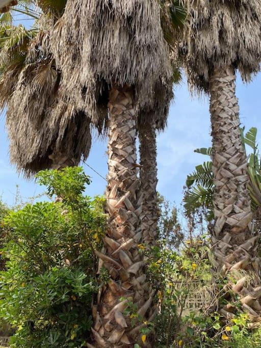 Casa De Campo En Playa Dosel 2 Mareny de San Lorenzo Zewnętrze zdjęcie